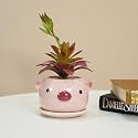 Wooden Street Whimsy Artificial Flower with Purple Pot | Low-Maintenance Faux Decor for Office &amp; Home | Realistic Artificial Plant in Small Ceramic Vase | Tabletop Flower Arrangement | Purple (15.7Cm)