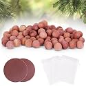 Woodever 110 Pack Cedar Balls for Clothes Storage, for Wardrobes and Drawers, 100% Natural Aromatic Cedar Wood Balls, with Sandpaper and Sachets