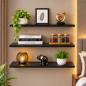 woodinzo Modern Wall Mounted Floating Shelf for