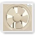 Woodluck Mosquito Net for Window Ivory Size