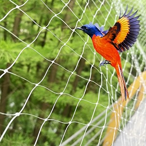 woohome anti-bird net for balcony 10 x 4ft heavy duty uv-stabilized hdpe pigeon net  bird protection net with installation kit cable clips amp tying rope  bird control for home amp garden
