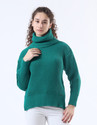 WOOLBERRY Women Self Design High Neck Green