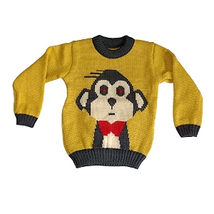 woolen sweater cum sweatshirttop for 2 to 3 year boys amp girls
