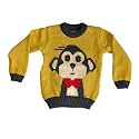 Woolen Sweater Cum Sweatshirt/Top for 2 to 3 Year Boys &amp; Girls