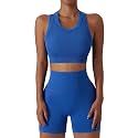 Workout Sets for Women 2 Piece Seamless Ribbed Tank Top Sport Bra High Waist Biker Shorts GYM Yoga Exercise Outfits