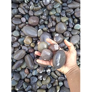 world of creation natural pebbles stones for gardening and landscaping purpose 30-50m river black 1000