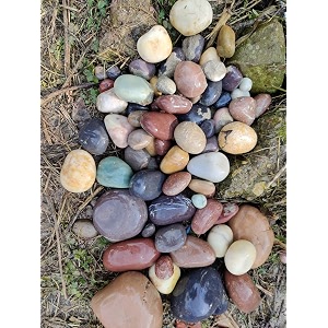 world of creation natural pebbles stones for gardening and landscaping purpose 30-50m mix 100