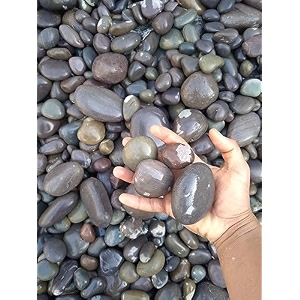 world of creation natural pebbles stones for gardening and landscaping purpose 30-50m river black 18