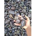 World of Creation Natural Pebbles Stones for Gardening and Landscaping Purpose (30-50m) (River Black, 18)