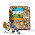 WORMSKING Dried Mealworms for Wild Birds and Chicken, 2LB