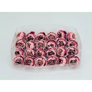 wrap concepts peonies head 24pcs blush with hints of burgundy