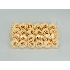 wrap concepts peonies head 24pcs cream yellow