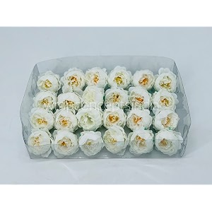 wrap concepts peonies head 24pcs white