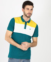 WROGN Colorblock Men Polo Neck Dark Green