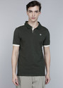 WROGN Men Solid Polo Neck Pure Cotton