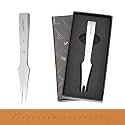 WUTA Leather Chisel All-Polished Die-Steel Puncher French Style Pricking Iron Sharp Leather Punching (Obverse, 5.4 mm 2Teeth)