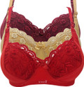 X-WELL NA Women Everyday Non Padded Bra