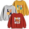 X2O Cotton Kids Sweatshirts with Round Neck and Ribbed Full Sleeves (Pack of 2) (Multicolor)