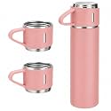 Xanthos-500 ml Stainless Steel Vacuum Insulated Flask