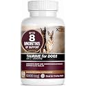XCEL Taurine for Dogs 1000 mg Supplement with L-Carnitine, Quarter Scored Tablets (250 mg Split), Up to 240 Servings, Supports Heart, Eye & Energy Health
