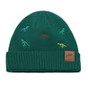 XIAOHAWANG Knit Toddler Beanies Girls Boys Cute Kids Winter Hat Infant Dinosaur Baby Beanie Hats