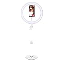 XO L03/ZD666 10 inch USB LED Ring Light with 3 Colors Modes for YouTube | Photo-Shoot | Video Shoot | Live Stream | Makeup & Vlogging - White