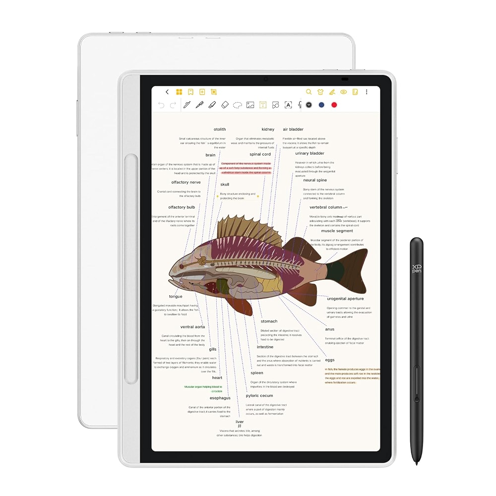XPPen 3 in 1 Color Digital Notebook 10.95'' Paper Note Taking Tablet ...