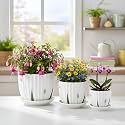 XSTORE Xtore Elegant Ribbed Ceramic Planter Set