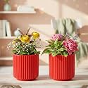 Xtore 2Pc Striking Ribbed Red Ceramic Planter