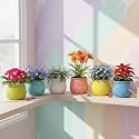 Xtore® 6Pc Vibrant Honeycomb Textured Ceramic Planter for Indoor Plants &amp; Succulents | Colorful Decorative Flower Pots for Home, Office Desk, Windowsill &amp; Shelf Styling (Multicolor - Planters only)