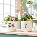 Xtore Charming Bicycle amp Cactus Ceramic Planter