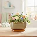 Xtore Elegant Dual-Tone Glazed Ceramic Bonsai Planter