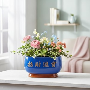 Xtore Elegant Sky-Blue Ceramic Bonsai Planter Pot