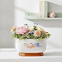 Xtore Graceful Hand-Painted Ceramic Bonsai Planter Pot