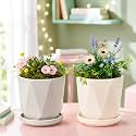 Xtore Refined Geometric Ceramic Planter Set of