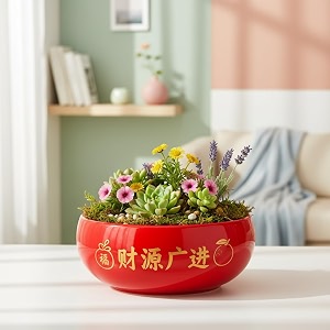 Xtore Striking Glossy Red Ceramic Planter Bowl