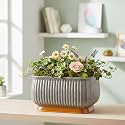 Xtore Striking Textured Ceramic Bonsai Planter Pot