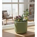 Xtore Verdantique Ceramic Ribbed Planter Soft-Tone