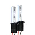 XtremeVision HID Xenon Replacement Bulbs - H1 15000K - Pink (1 Pair)