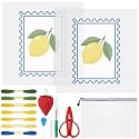 XunYee 17 Pcs Lemon 18 Mesh Needlepoint Canvas Kit for Beginner Adults