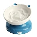 Y YHY Ceramic Slow Feeder Cat Bowl, Elevated Cat Bowl Tilted Design Slow Feeder for Dog and Cat for Dry and Wet Food, Blue