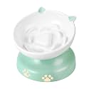 Y YHY Slow Feeder Cat Bowl, Ceramic Elevated Cat Bowl Tilted Design Slow Feeder for Dog and Cat for Dry and Wet Food, Green