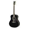 Yamaha L-Series LL6 Acoustic-Electric Guitar - Roswewood, Black