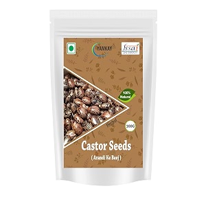 castor seeds 100g  amanakku vithai ricinus communis  premium quality dried castor seeds  100 natural amp pure  cleaned and carefully packed