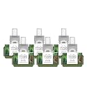 Yankee Candle ScentPlug Refill for Plug in Air Fresheners, Scented Oil Refills, Long Lasting Home Fragrance, Balsam &amp; Cedar (Pack of 6)