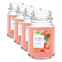 Yankee Candle White Strawberry Bellini Scented Candle, 22oz, Large Jar (Pack of 4)