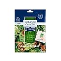 Yankee Candle Whole Home Air Freshener, Long Lasting Odor Eliminating Fragrance for Home, Continuous Room Freshener, Balsam &amp; Cedar (Pack of 1)