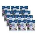 Yankee Candle Yankee Candle Lilac Blossoms (Pack of 12)