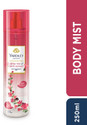 Yardley London Alpine Rose Black Currant