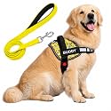 Yellow Fun Print Dog Vest Harness with